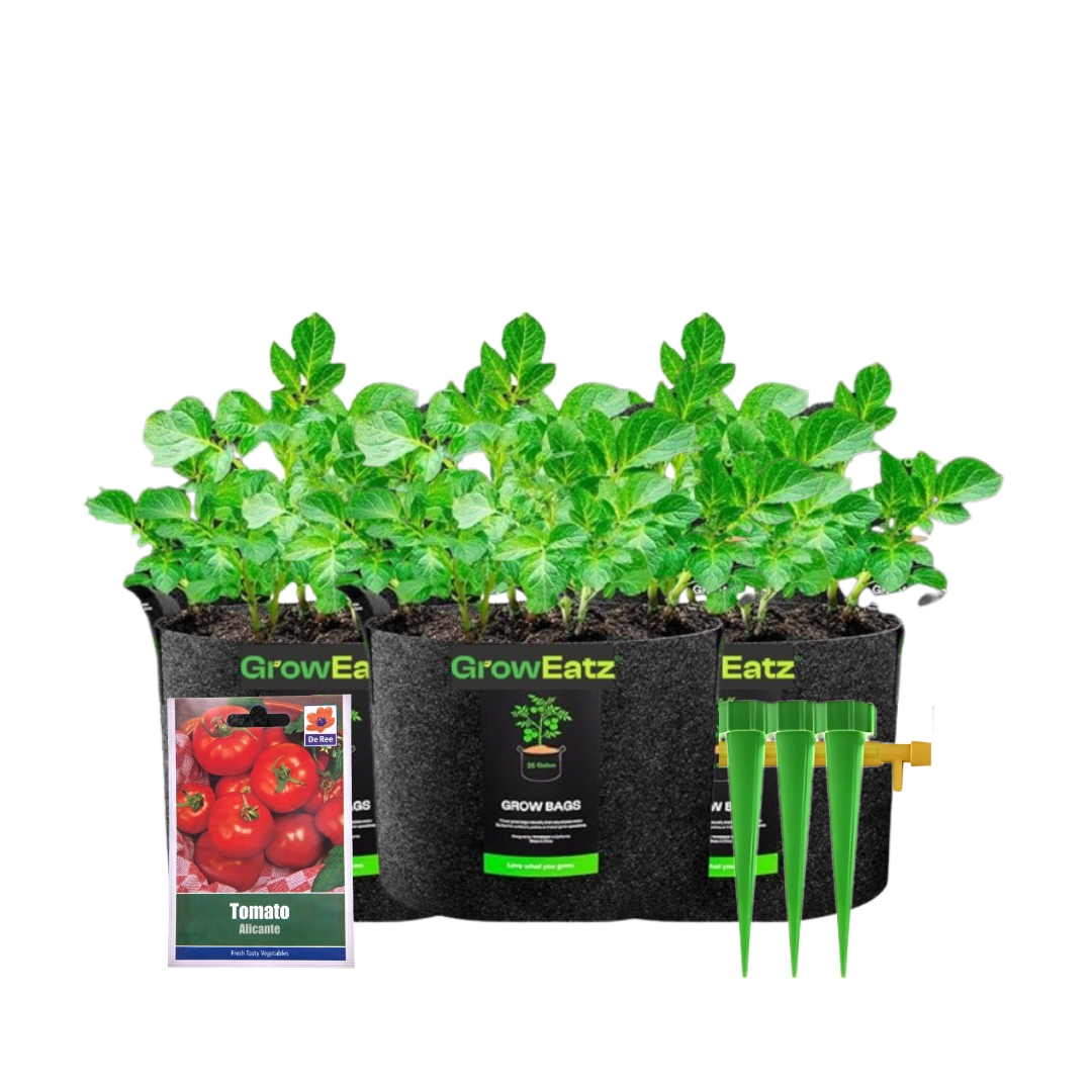 Starter Pack – All-in-One Gardening Solution