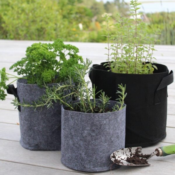 Filling-a-grey-grow-bag-with-soil-and-a-plant