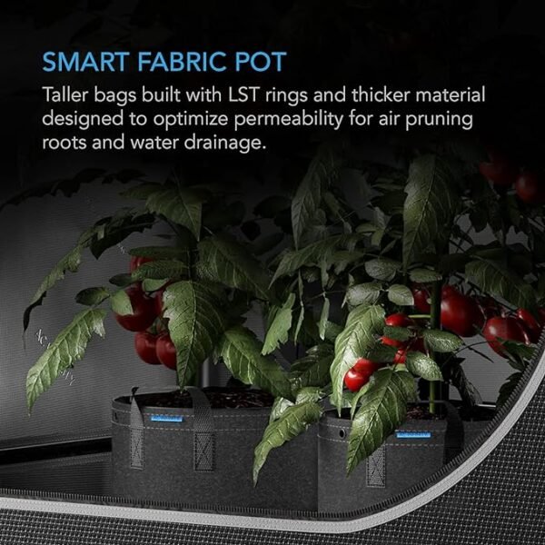 Heavy-duty-black-growbag-ideal-for-commercial-agriculture