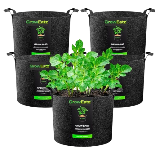 Black Growbags for Indoor and Outdoor Gardening