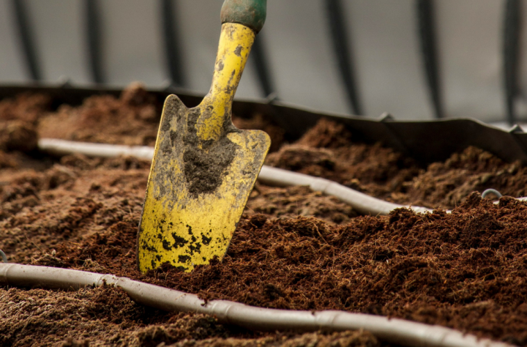 soil